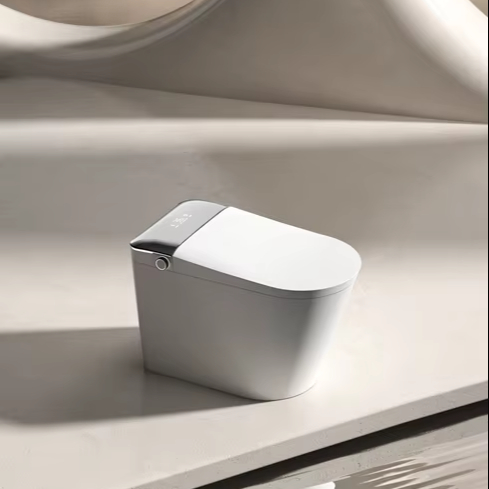 JM810L 지능형 변기 시트, 무제한 수압 제어, 스 - Smart Accessories 리뷰 및 가격